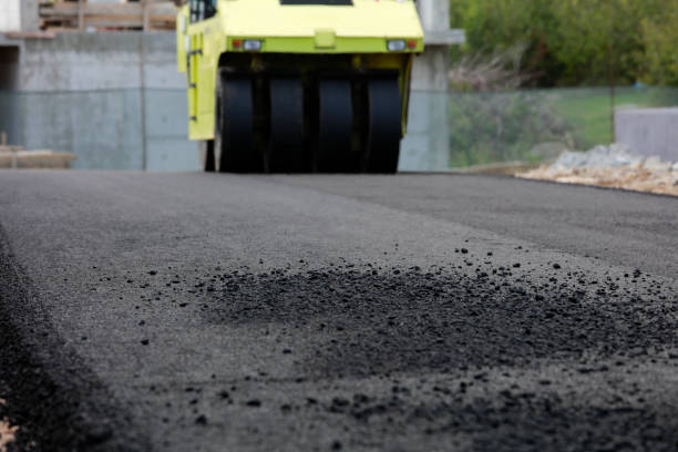 Best Interlocking Driveway Pavers  in Homosassa Springs, FL